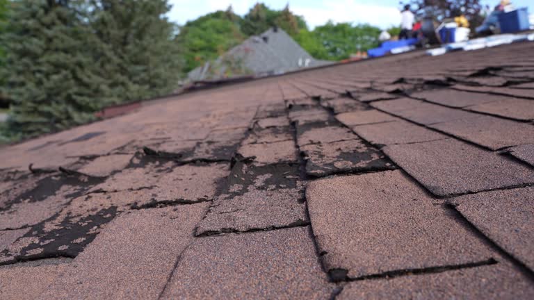 Best Asphalt Shingles Roofing  in Manhattan Beach, CA